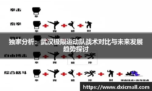 独家分析：武汉极限运动队战术对比与未来发展趋势探讨